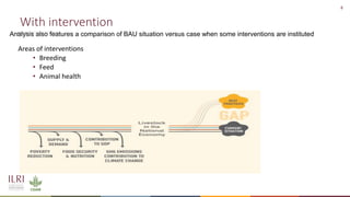 Livestock research for livelihoods: The case of LMPs