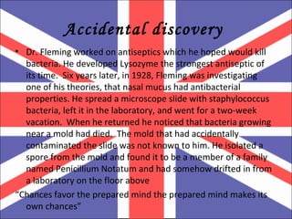 Accidental discovery  Dr. Fleming worked on antiseptics which he hoped would kill bacteria. He developed Lysozyme the strongest antiseptic of its time.  Six years later, in 1928, Fleming was investigating one of his theories, that nasal mucus had antibacterial properties. He spread a microscope slide with staphylococcus bacteria, left it in the laboratory, and went for a two-week vacation.  When he returned he noticed that bacteria growing near a mold had died.  The mold that had accidentally contaminated the slide was not known to him. He isolated a spore from the mold and found it to be a member of a family named Penicillium Notatum and had somehow drifted in from a laboratory on the floor above “ Chances favor the prepared mind the prepared mind makes its own chances”  