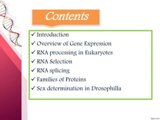 RNA Processing in Devlopmental biology | PPTX