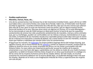 • Posibles explicaciones
• Manatíes, morsas, focas, etc…
• Uno de los avistamientos más famosos fue el del mismísimo Cristóbal Colón, quien afirmó en 1493
que había visto a una sirena frente a las costas de la Florida. Sobre eso, el historiador José Durand
escribió lo siguiente: ‹‹Cuando el Almirante iba a Río del Oro, dijo que vio tres sirenas que salieron
bien alto de la mar, pero no eran tan hermosas como las pintan, que en alguna manera tenían
forma de hombre en la cara. Dijo que otras veces vio algunas en Guinea, en la costa Manegueta››.
Se ha mencionado el caso de Colón porque es ideal para ilustrar la teoría de que los supuestos
avistamientos de sirenas han sido usualmente avistamientos de manatíes, morsas y otros animales
que, por su morfología, pueden ser confundidos con las míticas criaturas. Centrándonos en lo que
vio Colón, la hipótesis de los manatíes resulta muy razonable porque Colón deja claro que el rostro
de las criaturas era masculino y carente de belleza, tal y como tienen la cara los manatíes, criaturas
éstas que habitan y habitaban por donde Colón tuvo los avistamientos.
• Al igual que los manatís, los dugongos (la propia palabra dugongo deriva del malayo duyong, que
significa sirena), de la misma familia de los sirenios y similar en aspecto al manatí, aunque éste no
habita en América sino en las costas orientales de África y en las costas y principales islas del
Océano Índico. Su caso cobra una importancia particular, ya que las madres de la especie
amamantan a sus crías fuera del agua, sujetándolas con las aletas (a modo de una madre humana
sujetando a su bebé en brazos) mientras éstas chupan en un área cuya localización es análoga a la
de los senos de las mujeres humanas (cerca de las citadas aletas). De este modo, en muchas
ocasiones los marineros debieron ver la escena desde lejos, no pudiendo distinguir bien más que
las siluetas, dejando así el resto a una imaginación imbuida de mitos y supersticiones de mujeres
con cola de pez.
 