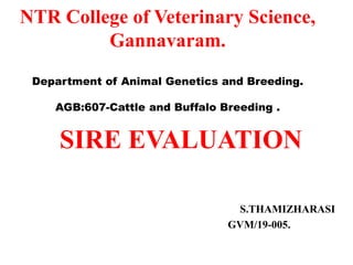 NTR College of Veterinary Science,
Gannavaram.
Department of Animal Genetics and Breeding.
AGB:607-Cattle and Buffalo Breeding .
SIRE EVALUATION
S.THAMIZHARASI
GVM/19-005.
 