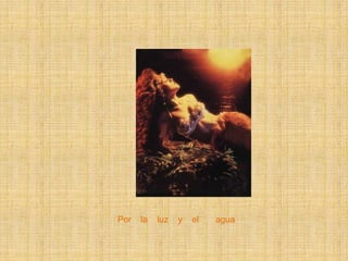 Por la luz y el agua