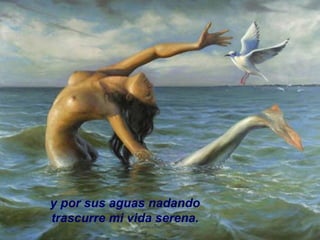 y por sus aguas nadando trascurre mi vida serena. 