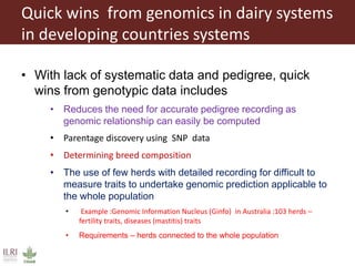 Innovative digital technology and genomic approaches to dairy cattle  genetic improvement in developing countries
