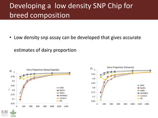 Innovative digital technology and genomic approaches to dairy cattle  genetic improvement in developing countries