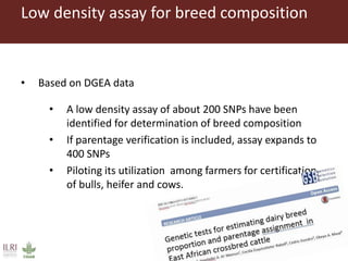 Innovative digital technology and genomic approaches to dairy cattle  genetic improvement in developing countries