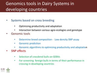 Innovative digital technology and genomic approaches to dairy cattle  genetic improvement in developing countries