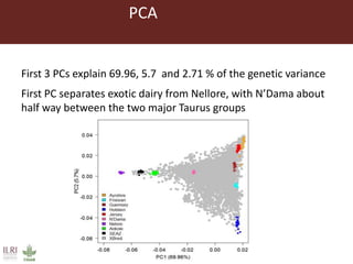Innovative digital technology and genomic approaches to dairy cattle  genetic improvement in developing countries