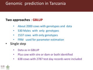 Innovative digital technology and genomic approaches to dairy cattle  genetic improvement in developing countries