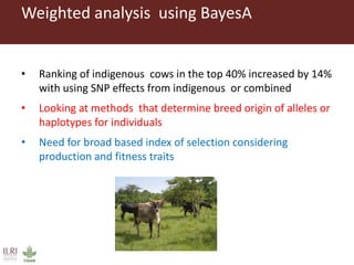 Innovative digital technology and genomic approaches to dairy cattle  genetic improvement in developing countries