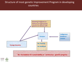 Innovative digital technology and genomic approaches to dairy cattle  genetic improvement in developing countries