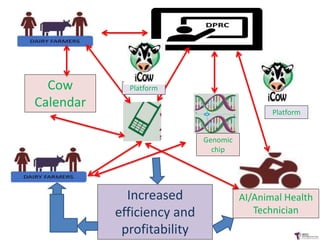 Innovative digital technology and genomic approaches to dairy cattle  genetic improvement in developing countries
