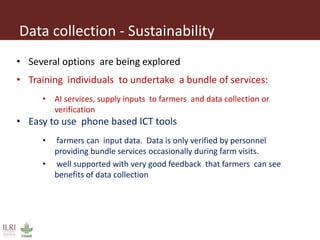 Innovative digital technology and genomic approaches to dairy cattle  genetic improvement in developing countries
