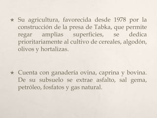 

Su agricultura, favorecida desde 1978 por la
construcción de la presa de Tabka, que permite
regar
amplias
superficies,
se
dedica
prioritariamente al cultivo de cereales, algodón,
olivos y hortalizas.



Cuenta con ganadería ovina, caprina y bovina.
De su subsuelo se extrae asfalto, sal gema,
petróleo, fosfatos y gas natural.

 