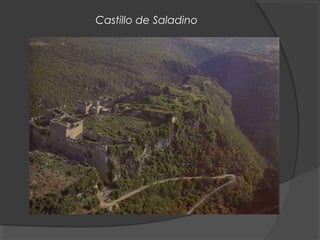 Castillo de Saladino
 