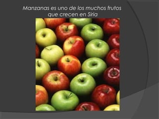 Manzanas es uno de los muchos frutos
que crecen en Siria
 
