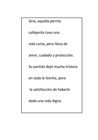Siria, aquella perrita 
callejerita tuvo una 
vida corta, pero llena de 
amor, cuidado y protección. 
Su partida dejó mucha tristeza 
en toda la familia, pero 
la satisfacción de haberle 
dado una vida digna. 
 
