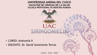 UNIVERSIDAD ANDINA DEL CUSCO
FACULTAD DE CIENCIAS DE LA SALUD
ESCUELA PROFESIONAL DE MEDICINA HUMANA
• CURSO: Anatomía II
• DOCENTE: Dr. David Sumerente Torres
CUSCO – 2018 - PERÚ
 