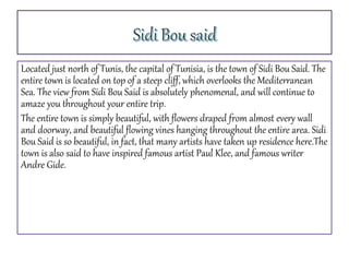 Located just north of Tunis, the capital of Tunisia, is the town of Sidi Bou Said. The
entire town is located on top of a steep cliff, which overlooks the Mediterranean
Sea. The view from Sidi Bou Said is absolutely phenomenal, and will continue to
amaze you throughout your entire trip.
The entire town is simply beautiful, with flowers draped from almost every wall
and doorway, and beautiful flowing vines hanging throughout the entire area. Sidi
Bou Said is so beautiful, in fact, that many artists have taken up residence here.The
town is also said to have inspired famous artist Paul Klee, and famous writer
Andre Gide.
 