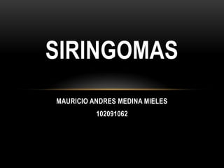 SIRINGOMAS
MAURICIO ANDRES MEDINA MIELES
          102091062
 