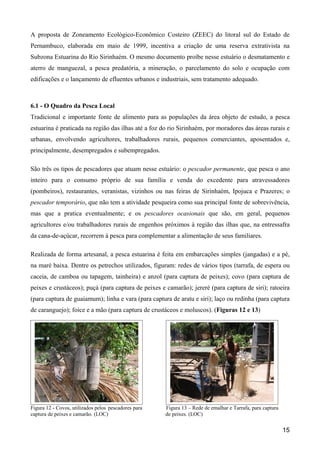 A proposta de Zoneamento Ecológico-Econômico Costeiro (ZEEC) do litoral sul do Estado de
Pernambuco, elaborada em maio de 1999, incentiva a criação de uma reserva extrativista na
Subzona Estuarina do Rio Sirinhaém. O mesmo documento proíbe nesse estuário o desmatamento e
aterro de manguezal, a pesca predatória, a mineração, o parcelamento do solo e ocupação com
edificações e o lançamento de efluentes urbanos e industriais, sem tratamento adequado.



6.1 - O Quadro da Pesca Local
Tradicional e importante fonte de alimento para as populações da área objeto de estudo, a pesca
estuarina é praticada na região das ilhas até a foz do rio Sirinhaém, por moradores das áreas rurais e
urbanas, envolvendo agricultores, trabalhadores rurais, pequenos comerciantes, aposentados e,
principalmente, desempregados e subempregados.

São três os tipos de pescadores que atuam nesse estuário: o pescador permanente, que pesca o ano
inteiro para o consumo próprio de sua família e venda do excedente para atravessadores
(pombeiros), restaurantes, veranistas, vizinhos ou nas feiras de Sirinhaém, Ipojuca e Prazeres; o
pescador temporário, que não tem a atividade pesqueira como sua principal fonte de sobrevivência,
mas que a pratica eventualmente; e os pescadores ocasionais que são, em geral, pequenos
agricultores e/ou trabalhadores rurais de engenhos próximos à região das ilhas que, na entressafra
da cana-de-açúcar, recorrem à pesca para complementar a alimentação de seus familiares.

Realizada de forma artesanal, a pesca estuarina é feita em embarcações simples (jangadas) e a pé,
na maré baixa. Dentre os petrechos utilizados, figuram: redes de vários tipos (tarrafa, de espera ou
caceia, de camboa ou tapagem, tainheira) e anzol (para captura de peixes); covo (para captura de
peixes e crustáceos); puçá (para captura de peixes e camarão); jereré (para captura de siri); ratoeira
(para captura de guaiamum); linha e vara (para captura de aratu e siri); laço ou redinha (para captura
de caranguejo); foice e a mão (para captura de crustáceos e moluscos). (Figuras 12 e 13)




Figura 12 - Covos, utilizados pelos pescadores para   Figura 13 – Rede de emalhar e Tarrafa, para captura
captura de peixes e camarão. (LOC)                    de peixes. (LOC)


                                                                                                            15
 