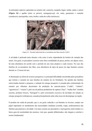 As principais espécies capturadas no estuário são: camurim, carapeba, bagre, tainha, saúna, e amoré
(Figura 14) e agulha (entre os peixes); caranguejo-uçá, siri, aratu, guaiamum e camarão
(crustáceos); marisquinho, ostra, taioba e unha-de-velho (moluscos).




                  Figura 14 – Pescado tradicional dos ex-moradores das ilhas (amoré). (LOC)


A atividade é praticada tanto durante o dia como à noite, dependendo do horário de variação das
marés. Em geral, os pescadores exercem uma única modalidade de pesca, porém, em alguns casos,
há uma alternância de acordo com o período do ano mais propício a cada recurso. No caso das
famílias de ex-moradores das ilhas, essa alternância de tipos de pesca era algo bastante comum
durante os 12 meses do ano.


A diminuição na oferta de recursos pesqueiros é a principal dificuldade encontrada pelos pescadores
que retiram o sustento de suas famílias do estuário do rio Sirinhaém. Na opinião das famílias
entrevistadas durante a pesquisa, a redução do estoque pesqueiro é causada pela contaminação do
estuário por efluentes decorrentes da produção da cana-de-açúcar (“calda”, “vinhoto”,
“agrotóxicos”, “veneno”), pelo uso de práticas predatórias de captura (“laço”, “malha fina”, bombas
caseiras, produtos tóxicos, “barragem”) e pelo crescimento excessivo da atividade em relação ao
estoque pesqueiro (sobrepesca), causada principalmente pelas altas taxas de desemprego na região.


O produto da venda do pescado, que é, em geral, reduzido e cai bastante no inverno, cumpre um
papel importante no atendimento das necessidades imediatas (comida, roupa, medicamentos) das
famílias que praticam a atividade. Um traço comum aos pescadores e marisqueiras entrevistados é o
baixo grau de escolaridade dos mesmos, visto que, quando alfabetizados, não chegam a concluir o
ensino fundamental.



                                                                                                16
 