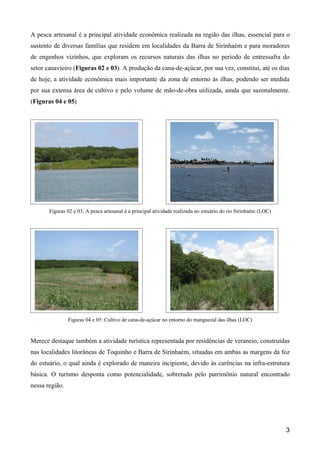 A pesca artesanal é a principal atividade econômica realizada na região das ilhas, essencial para o
sustento de diversas famílias que residem em localidades da Barra de Sirinhaém e para moradores
de engenhos vizinhos, que exploram os recursos naturais das ilhas no período de entressafra do
setor canavieiro (Figuras 02 e 03). A produção da cana-de-açúcar, por sua vez, constitui, até os dias
de hoje, a atividade econômica mais importante da zona de entorno às ilhas, podendo ser medida
por sua extensa área de cultivo e pelo volume de mão-de-obra utilizada, ainda que sazonalmente.
(Figuras 04 e 05)




       Figuras 02 e 03: A pesca artesanal é a principal atividade realizada no estuário do rio Sirinhaém (LOC)




                Figuras 04 e 05: Cultivo de cana-de-açúcar no entorno do manguezal das ilhas (LOC)


Merece destaque também a atividade turística representada por residências de veraneio, construídas
nas localidades litorâneas de Toquinho e Barra de Sirinhaém, situadas em ambas as margens da foz
do estuário, o qual ainda é explorado de maneira incipiente, devido às carências na infra-estrutura
básica. O turismo desponta como potencialidade, sobretudo pelo patrimônio natural encontrado
nessa região.




                                                                                                                 3
 