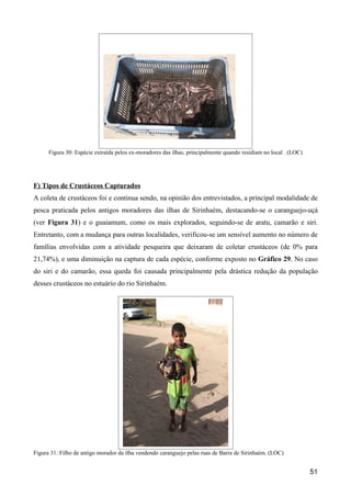 Figura 30: Espécie extraída pelos ex-moradores das ilhas, principalmente quando residiam no local . (LOC)




F) Tipos de Crustáceos Capturados
A coleta de crustáceos foi e continua sendo, na opinião dos entrevistados, a principal modalidade de
pesca praticada pelos antigos moradores das ilhas de Sirinhaém, destacando-se o caranguejo-uçá
(ver Figura 31) e o guaiamum, como os mais explorados, seguindo-se de aratu, camarão e siri.
Entretanto, com a mudança para outras localidades, verificou-se um sensível aumento no número de
famílias envolvidas com a atividade pesqueira que deixaram de coletar crustáceos (de 0% para
21,74%), e uma diminuição na captura de cada espécie, conforme exposto no Gráfico 29. No caso
do siri e do camarão, essa queda foi causada principalmente pela drástica redução da população
desses crustáceos no estuário do rio Sirinhaém.




Figura 31: Filho de antigo morador da ilha vendendo caranguejo pelas ruas de Barra de Sirinhaém. (LOC)


                                                                                                                  51
 