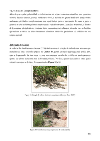 7.2.3 Atividades Complementares
Além da pesca, principal atividade econômica exercida pelos ex-moradores das ilhas para garantir o
sustento de suas famílias, quando residiam no local, a maioria dos grupos familiares entrevistados
realizavam atividades complementares, que contribuíam para o incremento de renda e para a
garantia de uma alimentação mais diversificada e rica em nutrientes. A criação de animais, o plantio
de lavouras de subsistência e a coleta de frutas proporcionavam soberania alimentar para as famílias
que tinham a certeza de estar consumindo alimentos saudáveis, produzidos ou colhidos em seu
próprio quintal.



A) Criação de Animais
A maioria das famílias entrevistadas (75%) dedicavam-se à criação de animais nos anos em que
moraram nas ilhas, conforme exposto no Gráfico 37, porém tal índice decresceu para apenas 20%
após a desocupação da área, uma vez que uma pequena parcela das residências atuais possuem
quintal ou terreno suficiente para a atividade pecuária. Por isso, quando deixaram as ilhas, quase
todos tiveram que se desfazer de seus animais. (Figura 32 e 33)




                   Figura 32: Criação de cabras das irmãs que ainda residem nas ilhas. (LOC)




                          Figura 33: Galinheiro como complemento de renda. (LOC)

                                                                                                 58
 