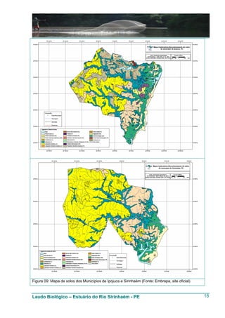Figura 09: Mapa de solos dos Municípios de Ipojuca e Sirinhaém (Fonte: Embrapa, site oficial)



Laudo Biológico – Estuário do Rio Sirinhaém - PE                                                18
 