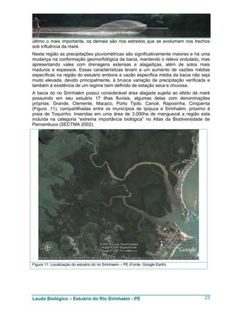 último o mais importante, os demais são rios estreitos que se avolumam nos trechos
sob influência da maré.
Nesta região as precipitações pluviométricas são significativamente maiores e há uma
mudança na conformação geomorfológica da bacia, mantendo o relevo ondulado, mas
apresentando vales com drenagens extensas e alagadiças, além de solos mais
maduros e espessos. Essas características levam a um aumento de vazões médias
específicas na região do estuário embora a vazão específica média da bacia não seja
muito elevada, devido principalmente, à brusca variação de precipitação verificada e
também à existência de um regime bem definido de estação seca e chuvosa.
A bacia do rio Sirinhaém possui considerável área alagada sujeita ao efeito de maré
possuindo em seu estuário 17 ilhas fluviais, algumas delas com denominações
próprias: Grande, Clemente, Macaco, Porto Tijolo, Canoé, Raposinha, Cinqüenta
(Figura .11), compartilhadas entre os municípios de Ipojuca e Sirinhaém, próximo à
praia de Toquinho. Inseridas em uma área de 3.000ha de manguezal a região esta
incluída na categoria “extrema importância biológica” no Atlas da Biodiversidade de
Pernambuco (SECTMA 2002).




Figura 11: Localização do estuário do rio Sirinhaém – PE (Fonte: Google Earth)




Laudo Biológico – Estuário do Rio Sirinhaém - PE                                 23
 