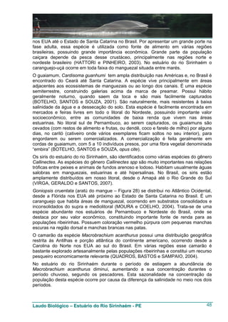 nos EUA até o Estado de Santa Catarina no Brasil. Por apresentar um grande porte na
fase adulta, essa espécie é utilizada como fonte de alimento em várias regiões
brasileiras, possuindo grande importância econômica. Grande parte da população
caiçara depende da pesca desse crustáceo, principalmente nas regiões norte e
nordeste brasileiro (HATTORI e PINHEIRO, 2003). No estuário do rio Sirinhaém o
caranguejo-uçá ocorre em toda faixa do manguezal situada entre marés.
O guaiamum, Cardisoma guanhumi tem ampla distribuição nas Américas e, no Brasil é
encontrado do Ceará até Santa Catarina. A espécie vive principalmente em áreas
adjacentes aos ecossistemas de manguezais ou ao longo dos canais. É uma espécie
semiterrestre, construindo galerias acima da marca de preamar. Possui hábito
geralmente noturno, quando saem da toca e são mais facilmente capturados
(BOTELHO, SANTOS e SOUZA, 2001). São naturalmente, mais resistentes à baixa
salinidade da água e a dessecação do solo. Esta espécie é facilmente encontrada em
mercados e feiras livres em todo o litoral do Nordeste, possuindo importante valor
socioeconômico, entre as comunidades de baixa renda que vivem nas áreas
estuarinas. No litoral sul de Pernambuco, ao serem capturados, os guaiamuns são
cevados (com restos de alimento e frutas, ou dendê, coco e farelo de milho) por alguns
dias, no caritó (cativeiro onde vários exemplares ficam soltos no seu interior), para
engordarem ou serem comercializados. A comercialização é feita geralmente em
cordas de guaiamum, com 5 a 10 indivíduos presos, por uma fibra vegetal denominada
“embira” (BOTELHO, SANTOS e SOUZA, opus cite).
Os siris do estuário do rio Sirinhaém, são identificados como várias espécies do gênero
Callinectes. As espécies do gênero Callinectes spp são muito importantes nas relações
tróficas entre peixes e animais de fundos arenoso e lodoso. Habitam usualmente águas
salobras em manguezais, estuarinas e até hipersalinas. No Brasil, os siris estão
amplamente distribuídos em nosso litoral, desde o Amapá até o Rio Grande do Sul
(VIRGA, GERALDO e SANTOS, 2007).
Goniopsis cruentata (aratú do mangue – Figura 28) se distribui no Atlântico Ocidental,
desde a Flórida nos EUA até próximo ao Estado de Santa Catarina no Brasil. É um
caranguejo que habita áreas de manguezal, ocorrendo em substratos consolidados e
inconsolidados do supra e mediolitoral (MOURA e COELHO, 2004). Trata-se de uma
espécie abundante nos estuários de Pernambuco e Nordeste do Brasil, onde se
destaca por seu valor econômico, constituindo importante fonte de renda para as
populações ribeirinhas. Possuem coloração vermelho púrpura com pequenas manchas
escuras na região dorsal e manchas brancas nas patas.
O camarão da espécie Macrobrachium acanthurus possui uma distribuição geográfica
restrita às Antilhas e porção atlântica do continente americano, ocorrendo desde a
Carolina do Norte nos EUA ao sul do Brasil. Em várias regiões esse camarão é
bastante explorado artesanalmente pelas populações ribeirinhas e constitui um recurso
pesqueiro economicamente relevante (QUADROS, BASTOS e SAMPAIO, 2004).
No estuário do rio Sirinhaém durante o período de estiagem a abundância de
Macrobrachium acanthurus diminui, aumentando a sua concentração durantes o
período chuvoso, segundo os pescadores. Esta sazonalidade na concentração da
população desta espécie ocorre por causa da diferença da salinidade no meio nos dois
períodos.



Laudo Biológico – Estuário do Rio Sirinhaém - PE                                    48
 