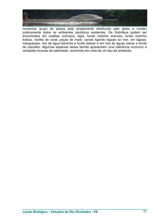numeroso grupo de peixes está amplamente distribuído pelo globo e invadiu
praticamente todos os ambientes aquáticos existentes. Os Gobídeos podem ser
encontrados em costões rochosos, lajes, fundo marinho arenoso, fundo marinho
lodoso, recifes de coral, poças de maré, canais ligando lagoas ao mar, em lagoas,
manguezais, rios de água barrenta e fundo lodoso e em rios de águas claras e fundo
de cascalho. Algumas espécies dessa família apresentam uma tolerância incomum a
variações bruscas de salinidade, ocorrendo em mais de um tipo de ambiente.




Laudo Biológico – Estuário do Rio Sirinhaém - PE                               52
 