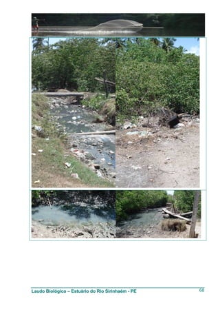 Laudo Biológico – Estuário do Rio Sirinhaém - PE   68
 