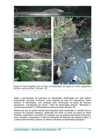 Figura 33: Painel fotográfico com as forma de contaminação das águas por vinhoto, esgotamento
sanitário e resíduos sólidos – Sirinhaém – PE.




Dada a oportunidade de expressar as dificuldades identificadas por este público
entrevistado, incluindo “nenhuma” como resposta de sete (07) pescadores, foram
listadas 15 dificuldades, com destaque para “Diminuição na oferta de recursos
pesqueiros”; “Fiscalização da Usina”; “Falta de embarcação própria”; “Mosquitos e
animais peçonhentos”; e “Dificuldade de acesso às ilhas” (Quadro 18).
Observa-se que as quatro maiores preocupações estão associadas, e resultam de um
conjunto de impactos históricos, observado em todos os locais de pesca no litoral
brasileiro, justamente o somatório de impactos que os próprios pescadores elencaram,
como poluição e sobrepesca. A falta de tratamento de efluentes de qualquer origem, e
a pesca indiscriminada, acabam por afetar a atividade principal desta população.




Laudo Biológico – Estuário do Rio Sirinhaém - PE                                          69
 
