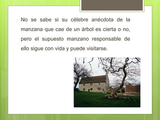  No se sabe si su célebre anécdota de la
manzana que cae de un árbol es cierta o no,
pero el supuesto manzano responsable de
ello sigue con vida y puede visitarse.
 