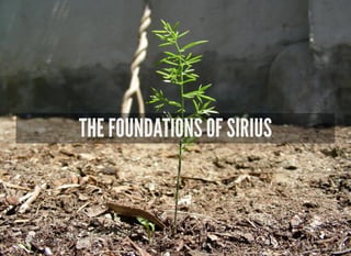 THE FOUNDATIONS OF SIRIUS
 