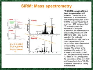 Sirm Machine Sirm core2 (2) | PPT