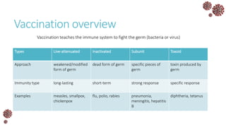 Vaccination overview
Vaccination teaches the immune system to fight the germ (bacteria or virus)
Types Live-attenuated Inactivated Subunit Toxoid
Approach weakened/modified
form of germ
dead form of germ specific pieces of
germ
toxin produced by
germ
Immunity type long-lasting short-term strong response specific response
Examples measles, smallpox,
chickenpox
flu, polio, rabies pneumonia,
meningitis, hepatitis
B
diphtheria, tetanus
 