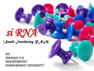 si RNA
(Small Interfering RNA)
By,
ISHAQUE P.K
BIOCHEMISTRY
pondicherry university

 