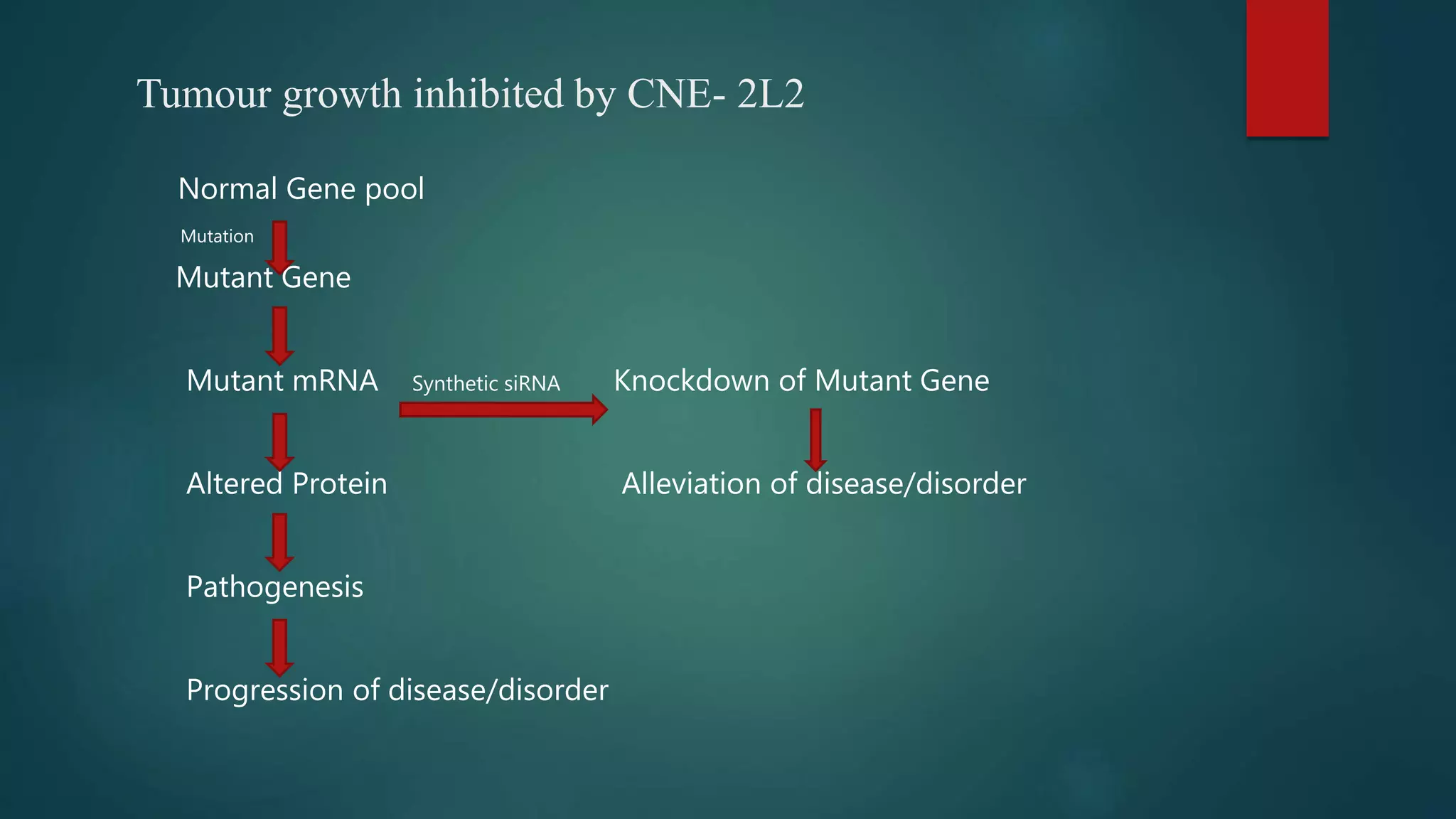 Tumour growth inhibited by CNE- 2L2
Normal Gene pool
Mutation
Mutant Gene
Mutant mRNA Synthetic siRNA Knockdown of Mutant Gene
Altered Protein Alleviation of disease/disorder
Pathogenesis
Progression of disease/disorder
 