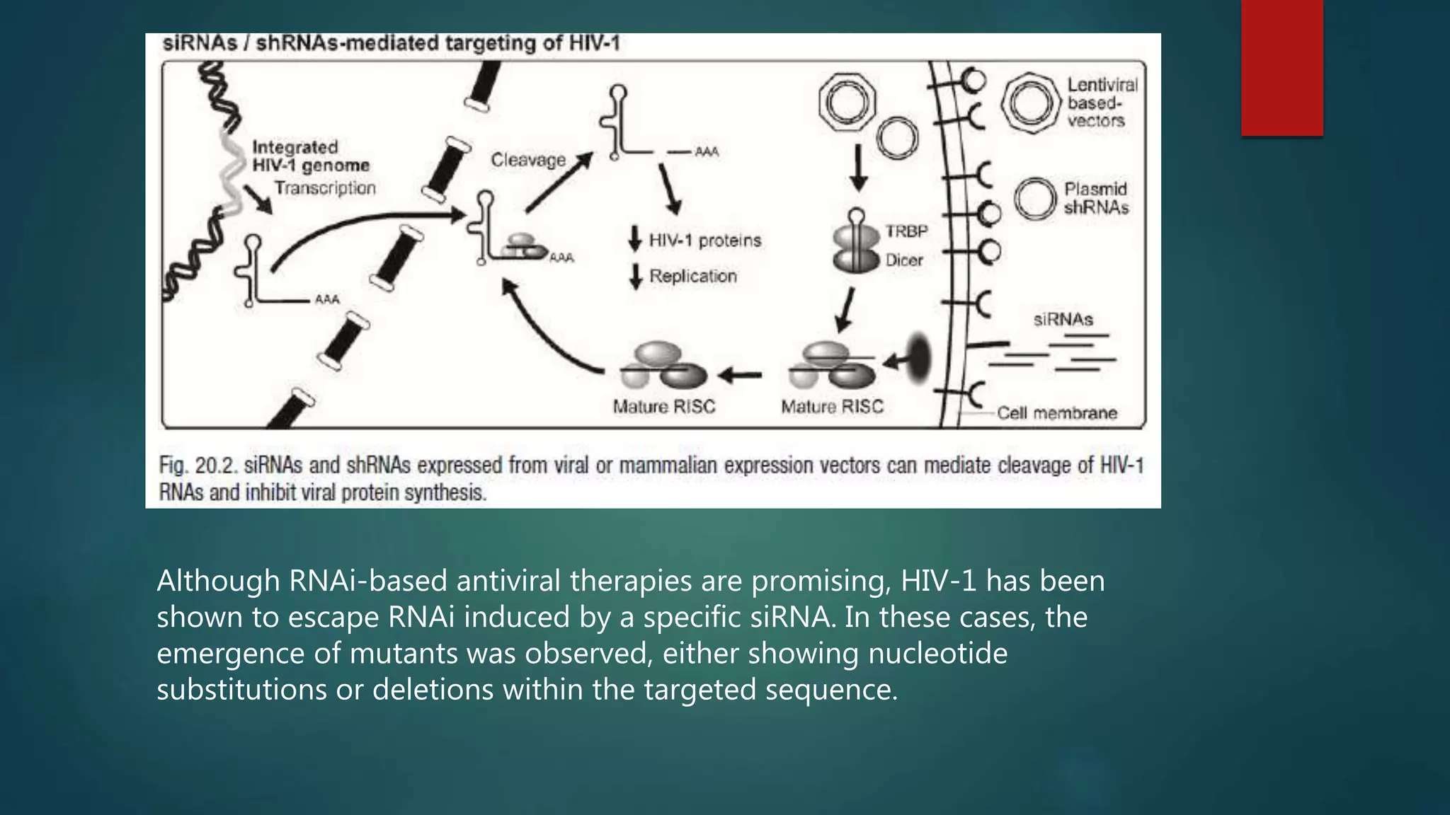 Although RNAi-based antiviral therapies are promising, HIV-1 has been
shown to escape RNAi induced by a specific siRNA. In these cases, the
emergence of mutants was observed, either showing nucleotide
substitutions or deletions within the targeted sequence.
 
