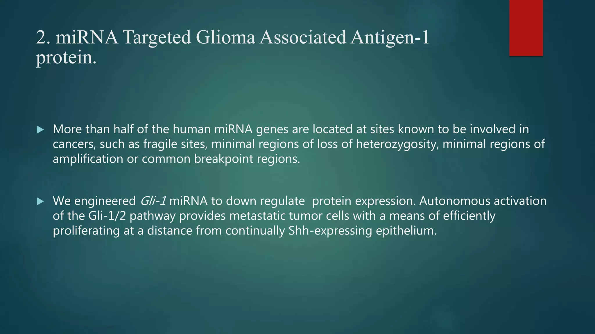 2. miRNA Targeted Glioma Associated Antigen-1
protein.
 More than half of the human miRNA genes are located at sites known to be involved in
cancers, such as fragile sites, minimal regions of loss of heterozygosity, minimal regions of
amplification or common breakpoint regions.
 We engineered Gli-1 miRNA to down regulate protein expression. Autonomous activation
of the Gli-1/2 pathway provides metastatic tumor cells with a means of efficiently
proliferating at a distance from continually Shh-expressing epithelium.
 