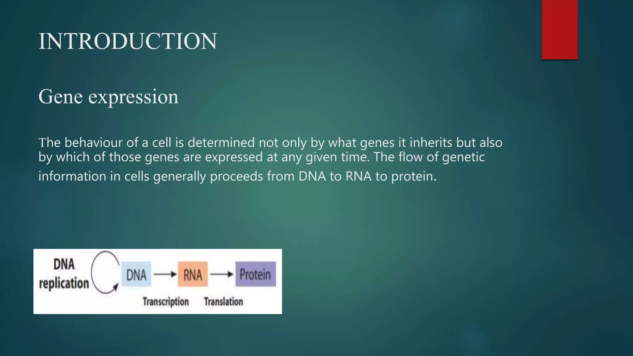 INTRODUCTION
Gene expression
The behaviour of a cell is determined not only by what genes it inherits but also
by which of those genes are expressed at any given time. The flow of genetic
information in cells generally proceeds from DNA to RNA to protein.
 