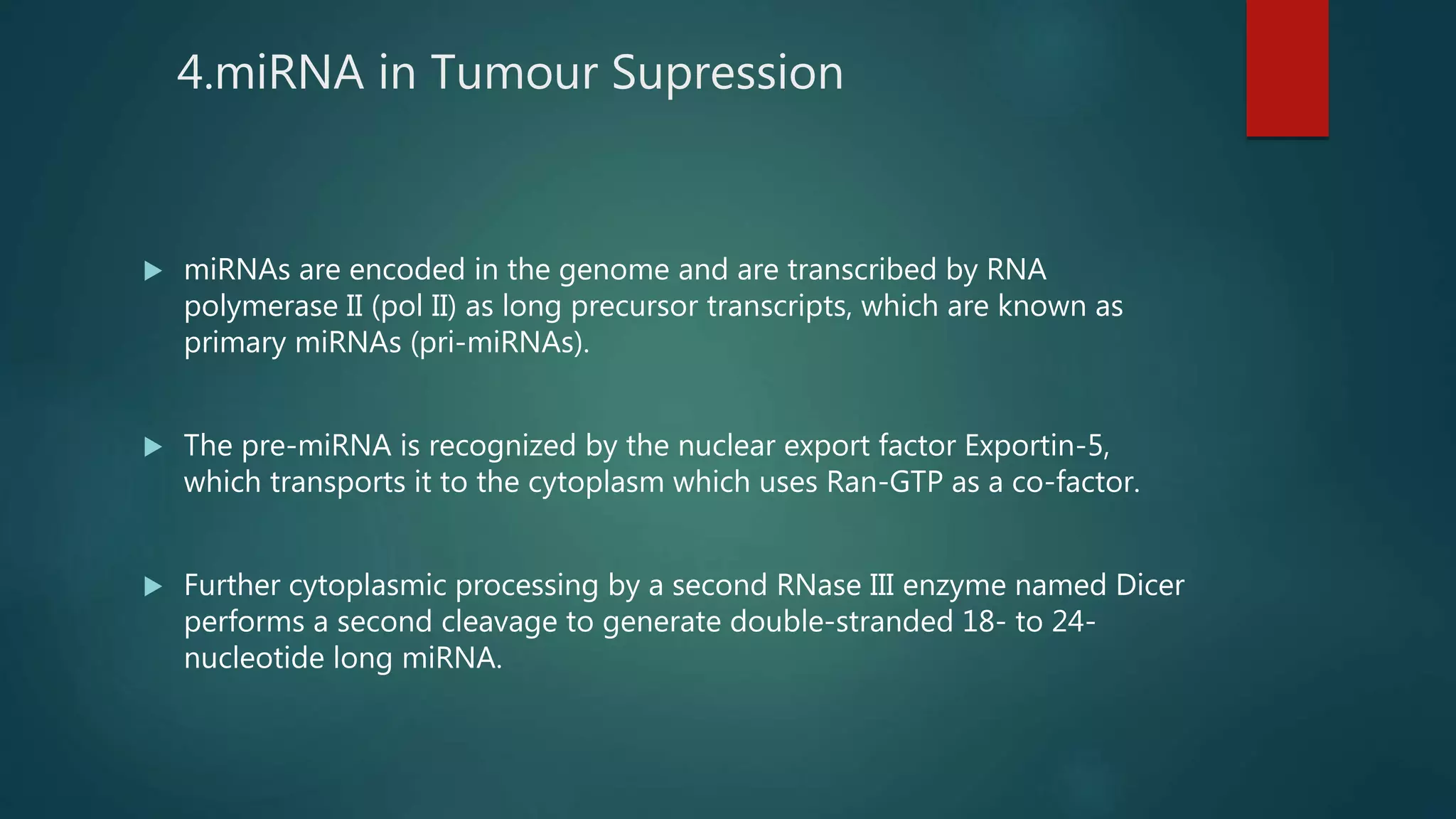 4.miRNA in Tumour Supression
 miRNAs are encoded in the genome and are transcribed by RNA
polymerase II (pol II) as long precursor transcripts, which are known as
primary miRNAs (pri-miRNAs).
 The pre-miRNA is recognized by the nuclear export factor Exportin-5,
which transports it to the cytoplasm which uses Ran-GTP as a co-factor.
 Further cytoplasmic processing by a second RNase III enzyme named Dicer
performs a second cleavage to generate double-stranded 18- to 24-
nucleotide long miRNA.
 
