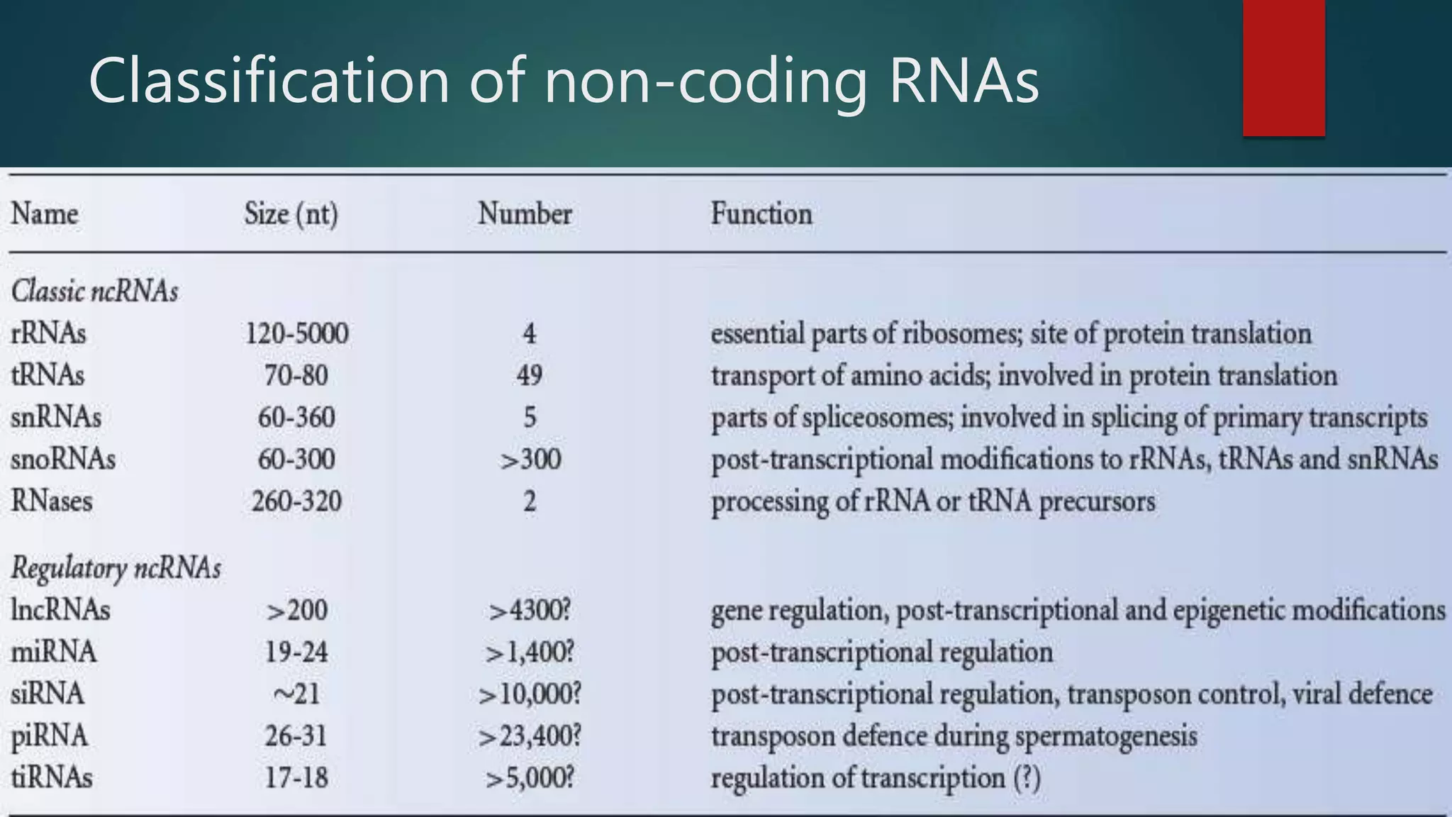 Classification of non-coding RNAs
 