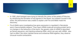  In 1990, plant biologist were trying to intensify the colour of the petals of Petunias,
by introducing the formation of red pigment in the flower, but instead it turned it into
white, the phenomenon was unable to explain until Fire and Mello made the
discovery.
 Fire & Mello were investigating how gene expression is regulated in Nematode
worm Caenorhabditis elegans. They inject mRNA molecule encoding protein led to
no changes in the behaviour of the worm, the genetic code of mRNA is described
as Sense sequence, and injecting antisense RNA, which can pair with mRNA , also
had no effect. But when injected sense and antisense RNA together, they observe
Unusual muscle contractions.
5
 