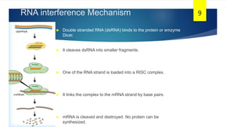 RNA interference Mechanism
 Double stranded RNA (dsRNA) binds to the protein or emzyme
Dicer..
 It cleaves dsRNA into smaller fragments.
 One of the RNA strand is loaded into a RISC complex.
 It links the complex to the mRNA strand by base pairs.
 mRNA is cleaved and destroyed. No protein can be
synthesized.
9
 