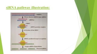 siRNA technology | PPTX