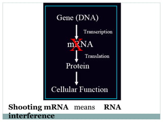 Shooting mRNA means RNA
interference
 